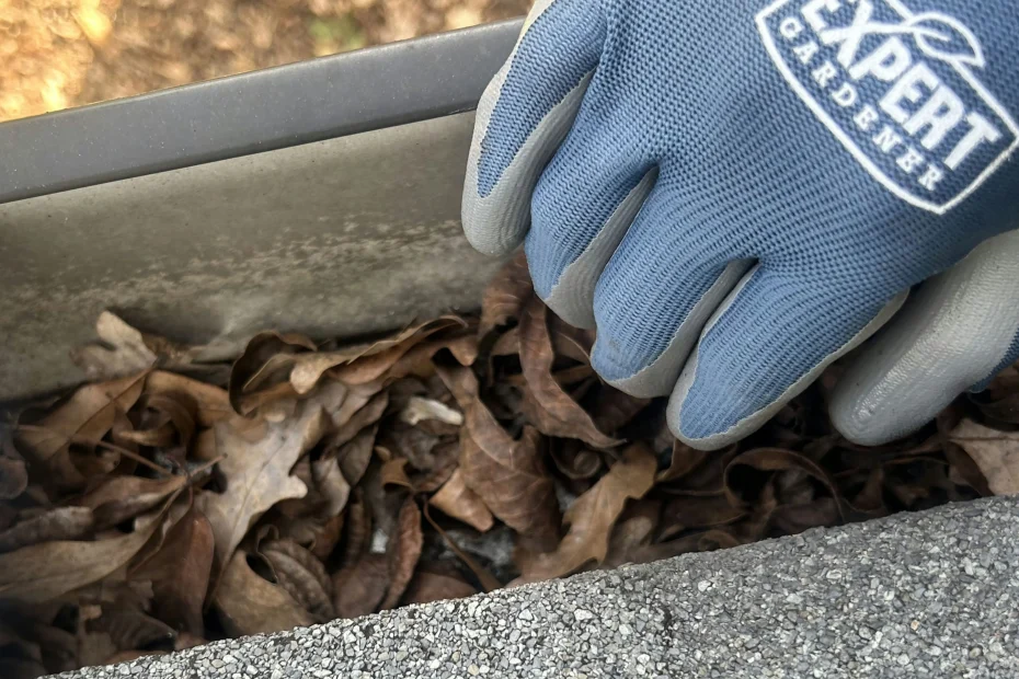 Gutter Cleaning Shadyside