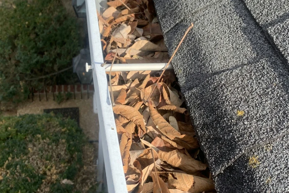 Gutter Cleaning Shadyside