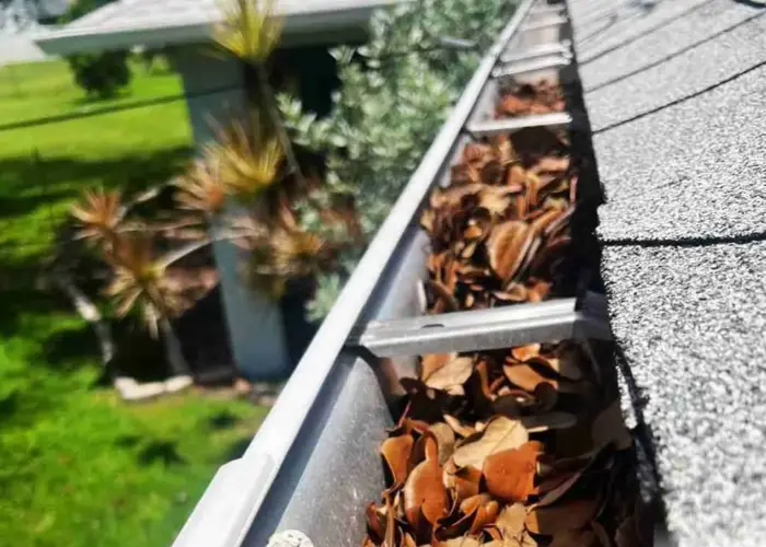 Gutter Cleaning Shadyside home page